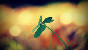 81次,日本国脚伊东纯也本赛季关键传球数领跑法甲,日本伊东市在哪