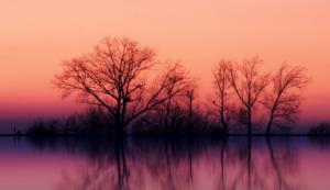 拜仁迎战巴黎圣日尔曼，德法豪门争夺胜利