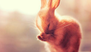 81次，日本国脚伊东纯也本赛季关键传球数领跑法甲，日本伊东市在哪