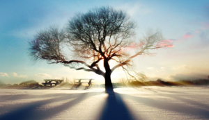 拜仁迎战巴黎圣日尔曼，德法豪门争夺胜利