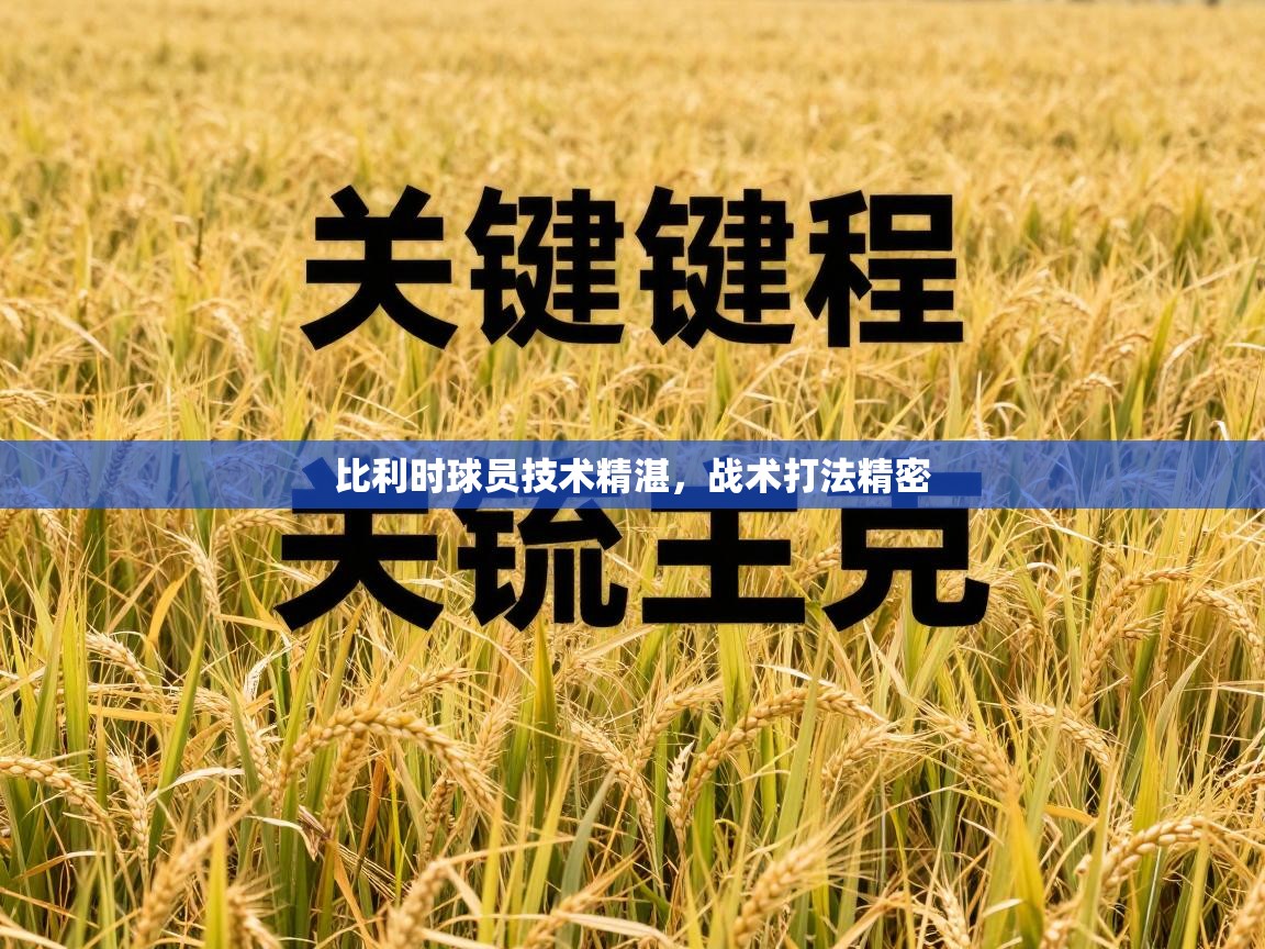 比利时球员技术精湛，战术打法精密  第2张