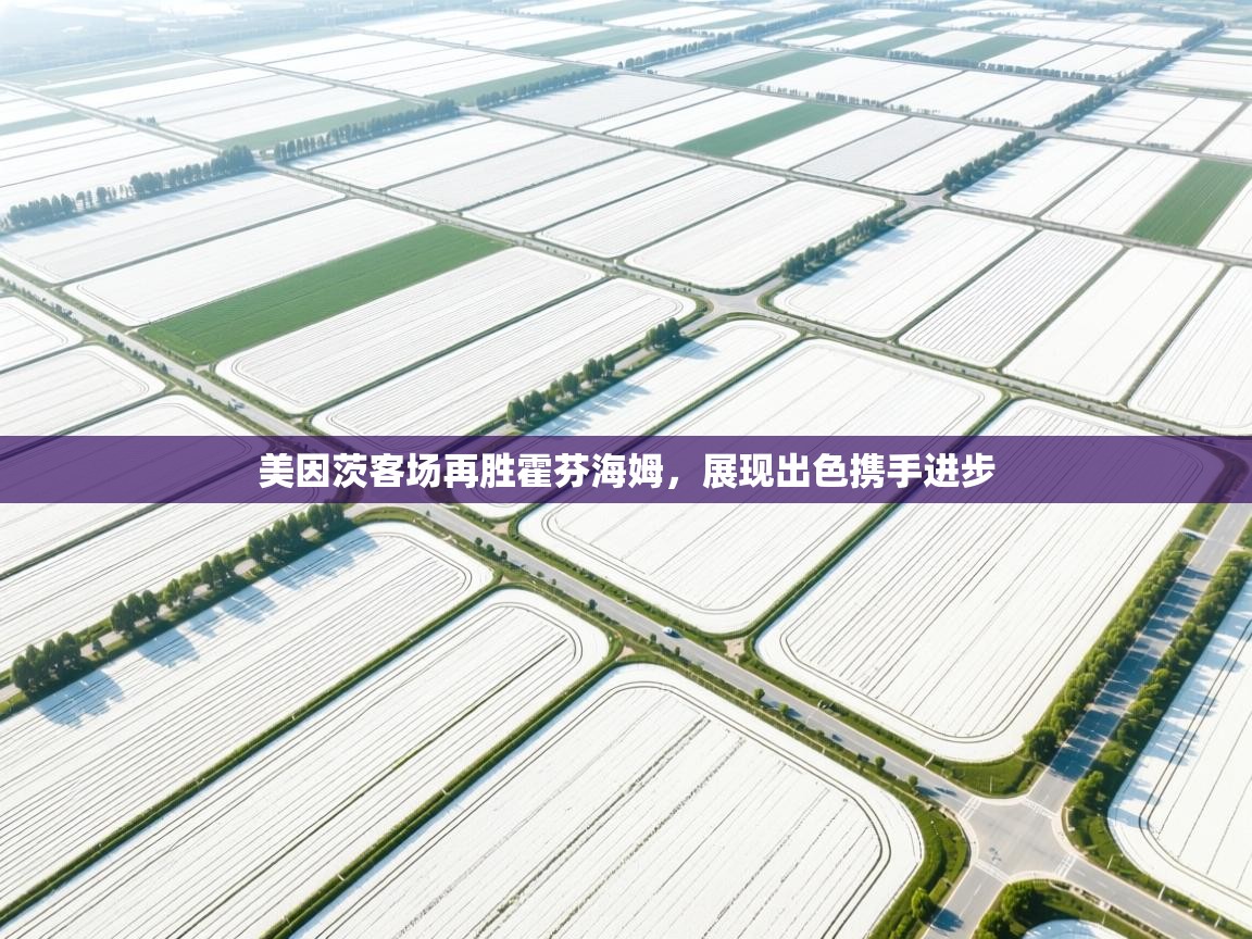 美因茨客场再胜霍芬海姆，展现出色携手进步  第1张