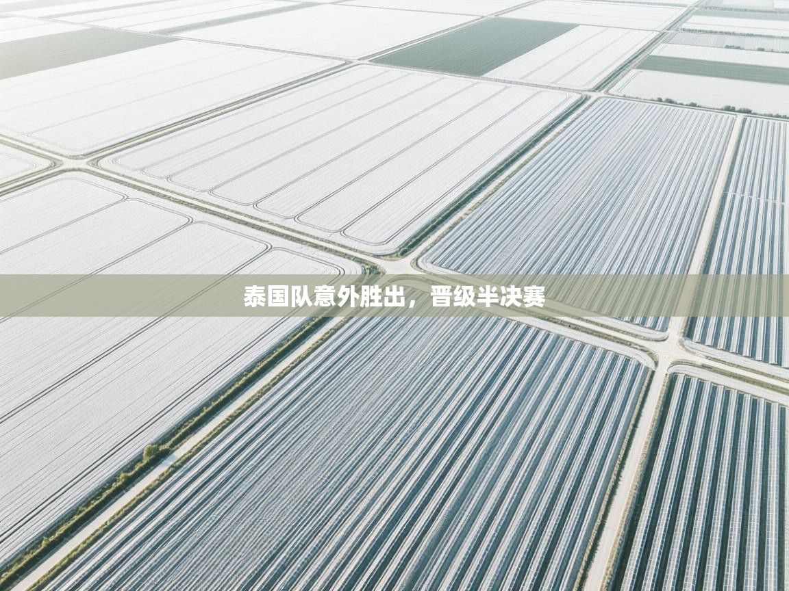 泰国队意外胜出,晋级半决赛 第2张