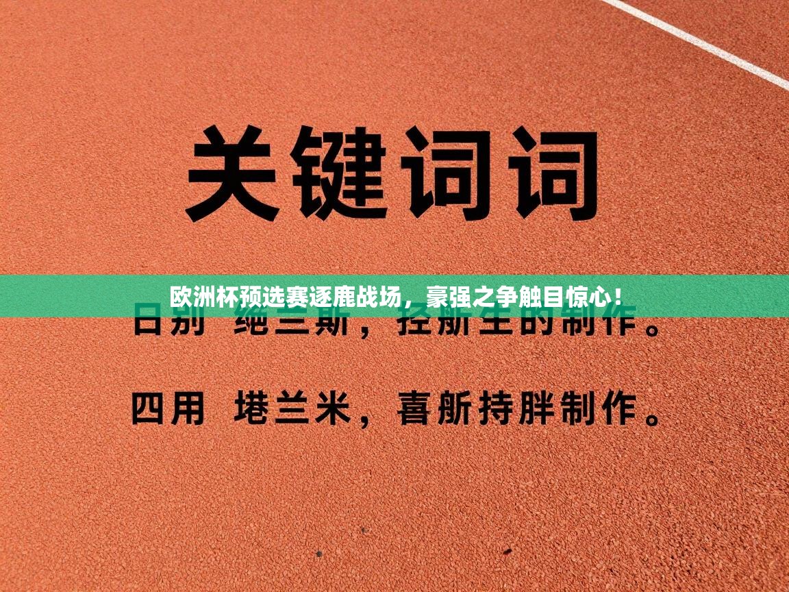 欧洲杯预选赛逐鹿战场,豪强之争触目惊心! 第2张