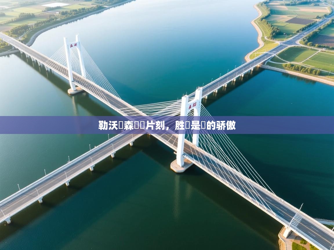 勒沃庫森隱險片刻,胜勝是該的骄傲 第1张