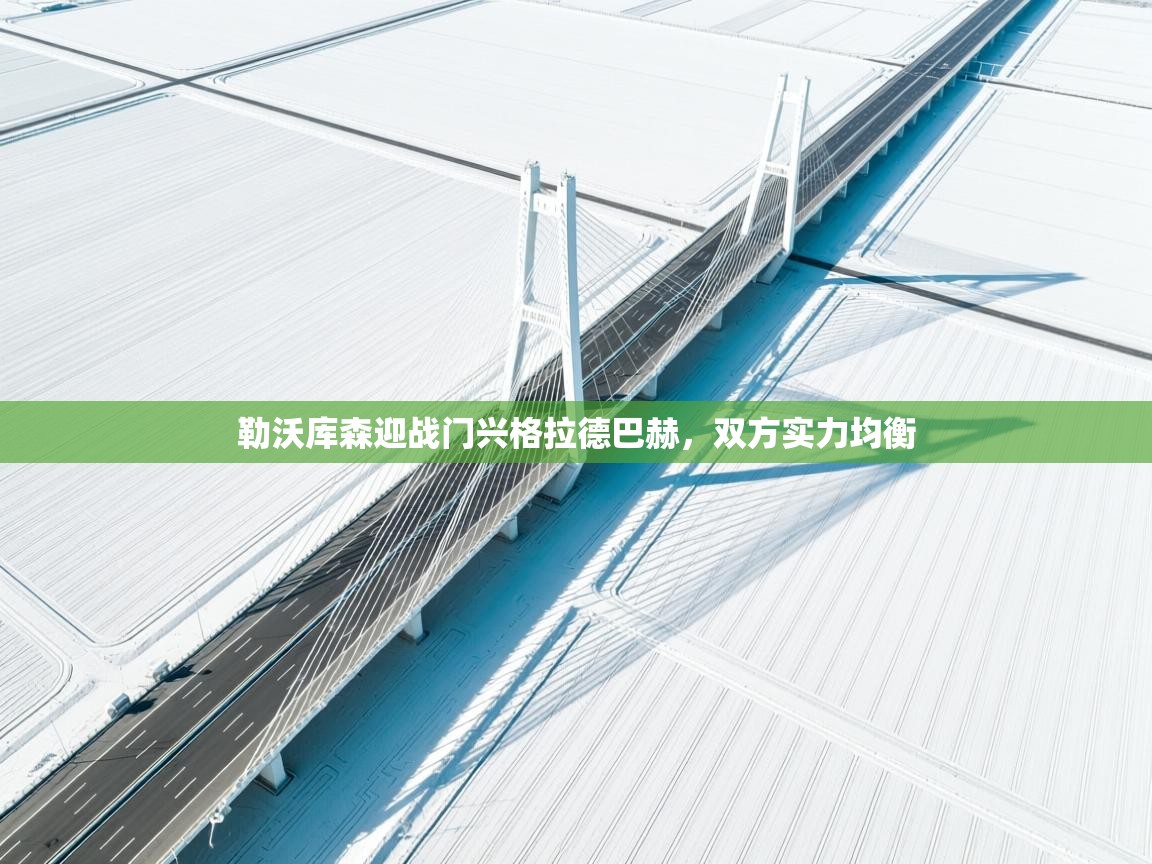 勒沃库森迎战门兴格拉德巴赫,双方实力均衡 第1张