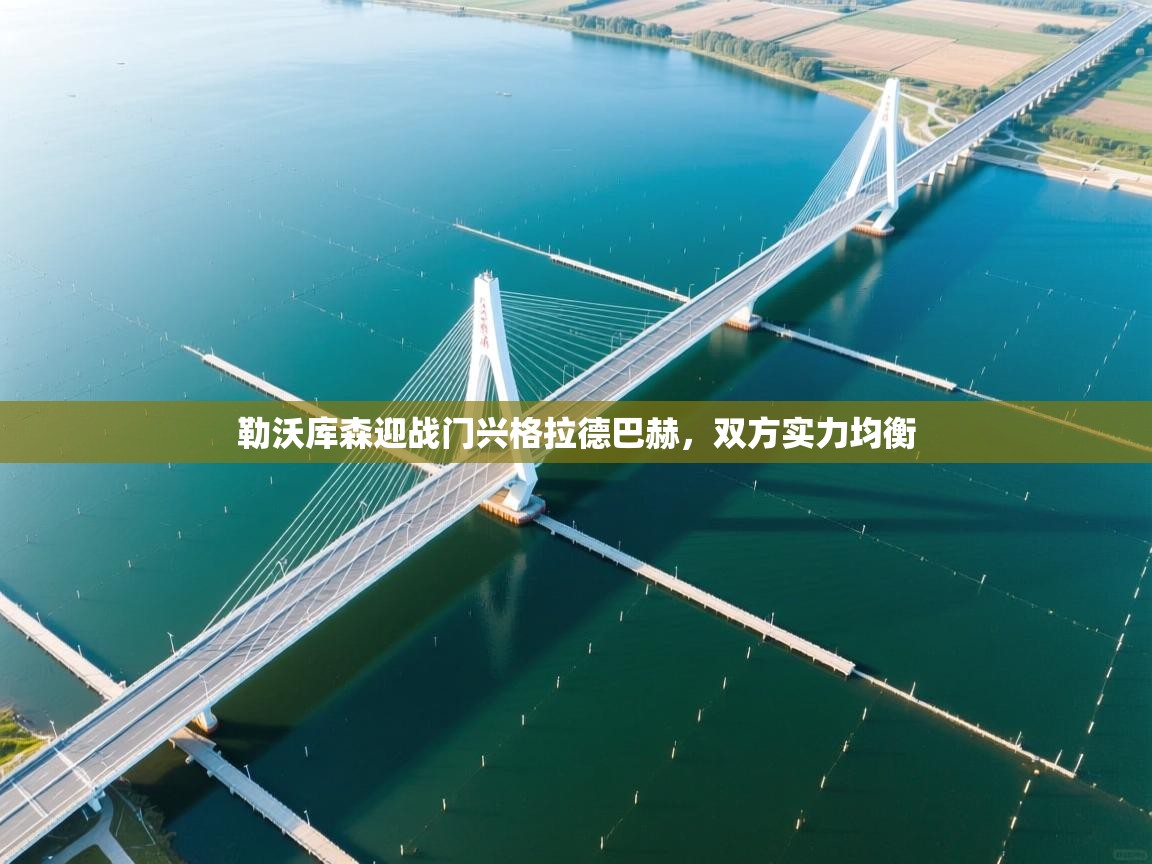 勒沃库森迎战门兴格拉德巴赫,双方实力均衡 第2张